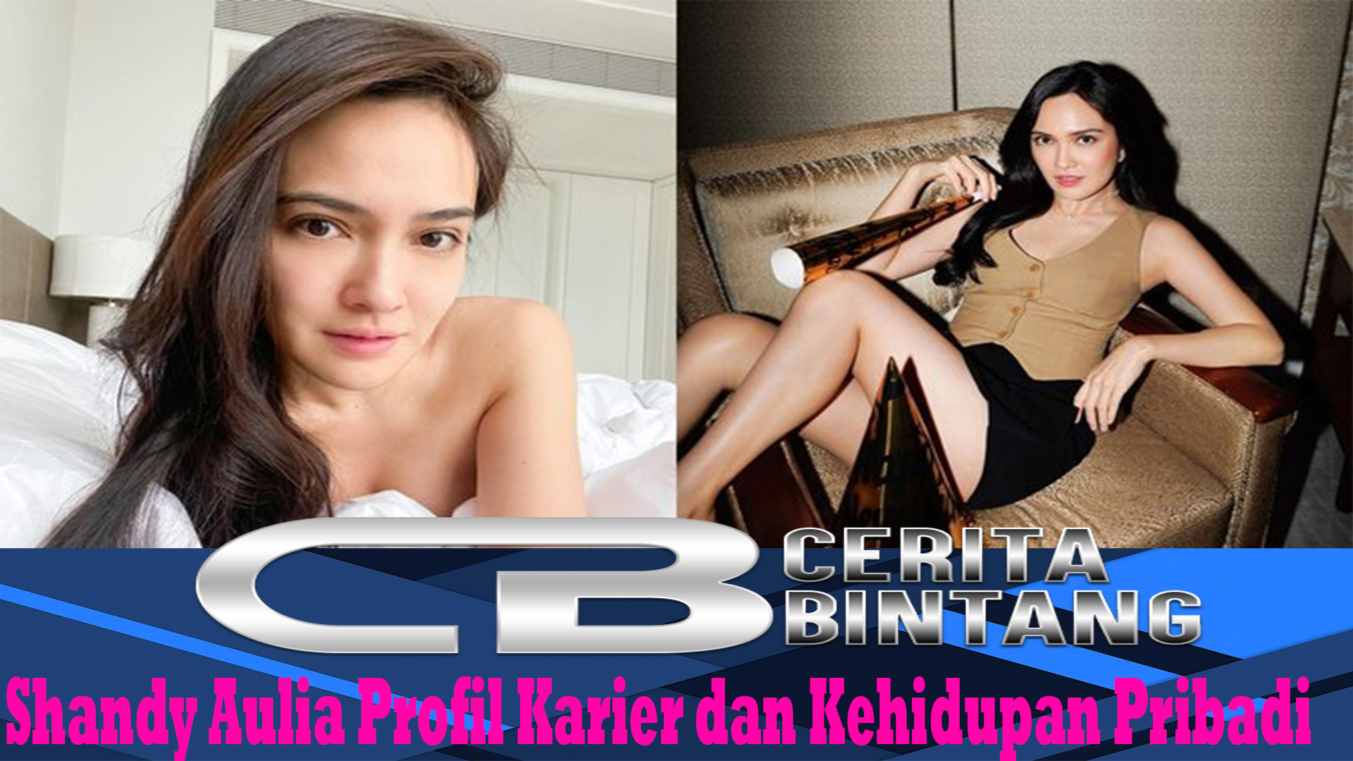 Shandy Aulia Profil Karier dan Kehidupan Pribadi